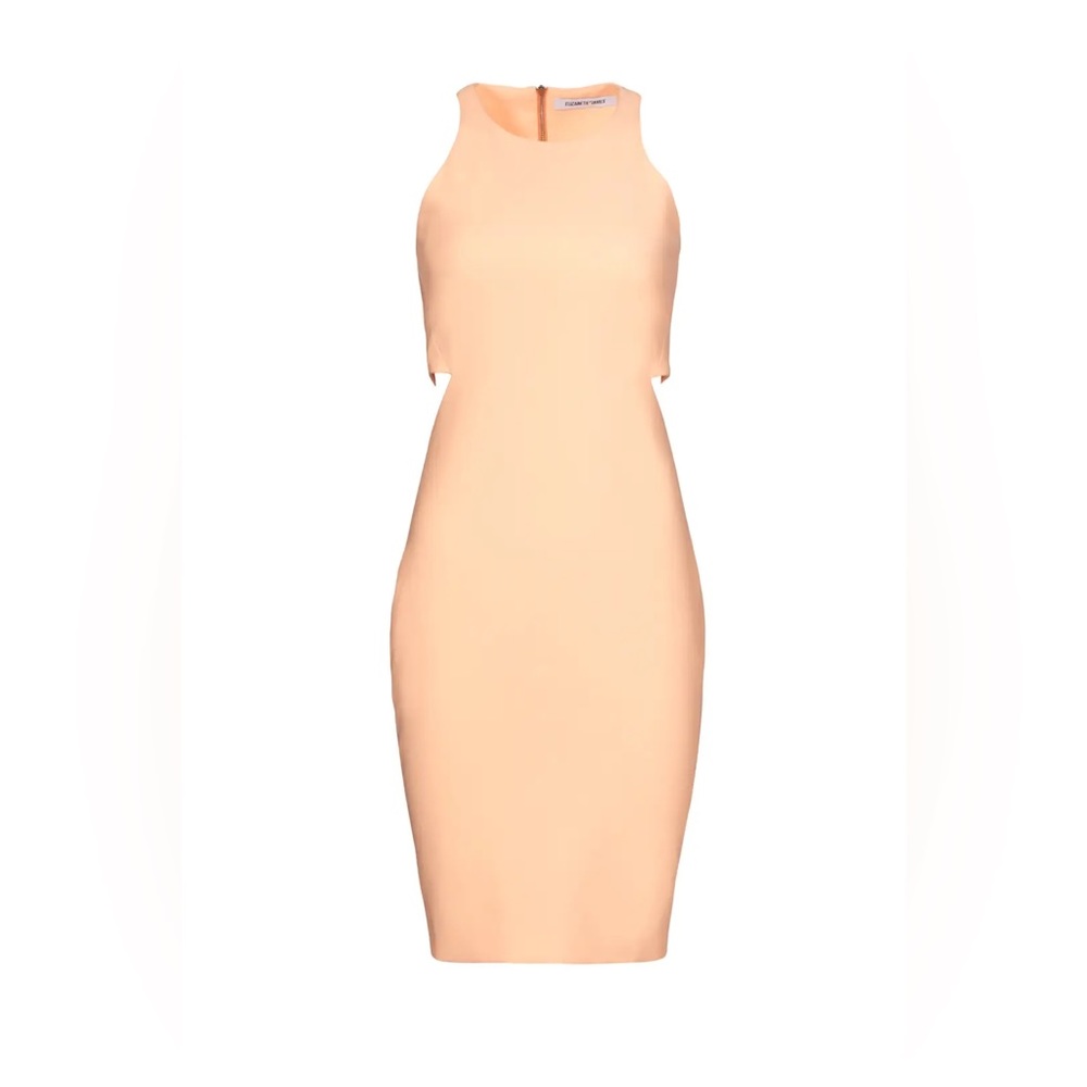 Elizabeth and James Cut out Dress